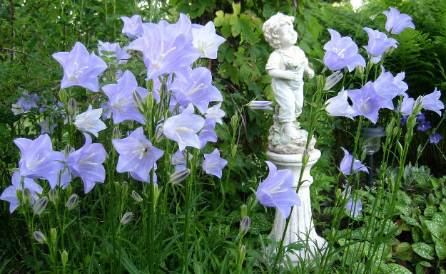 White statue of a boy amongst pretty flowers